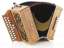 Castagnari: Alain 12