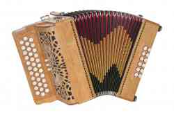 Saltarelle: Canop�e 12